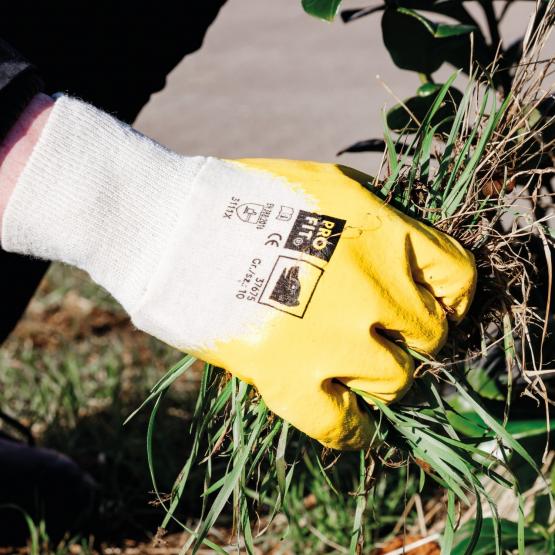 12 Paar Nitril Handschuhe, "Mega lite", gelb, 3/4 getaucht, Strickbund